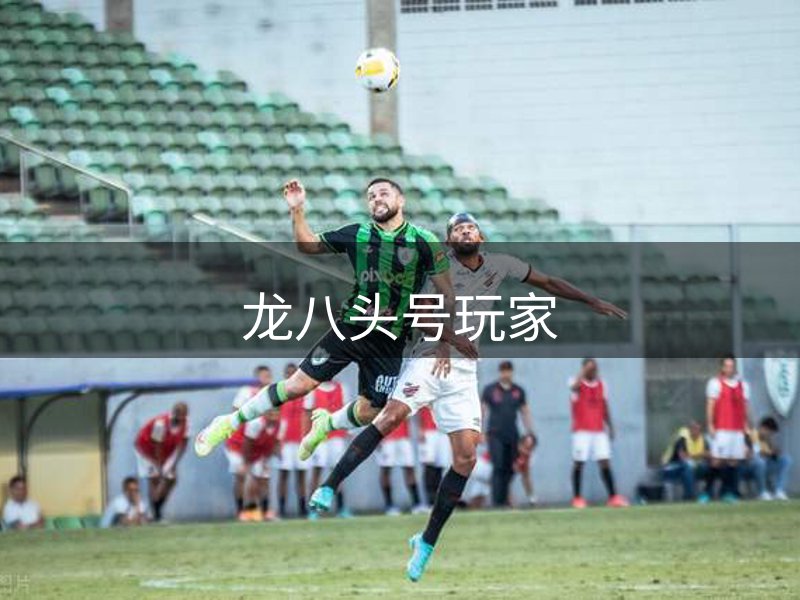 关于龙八头号玩家